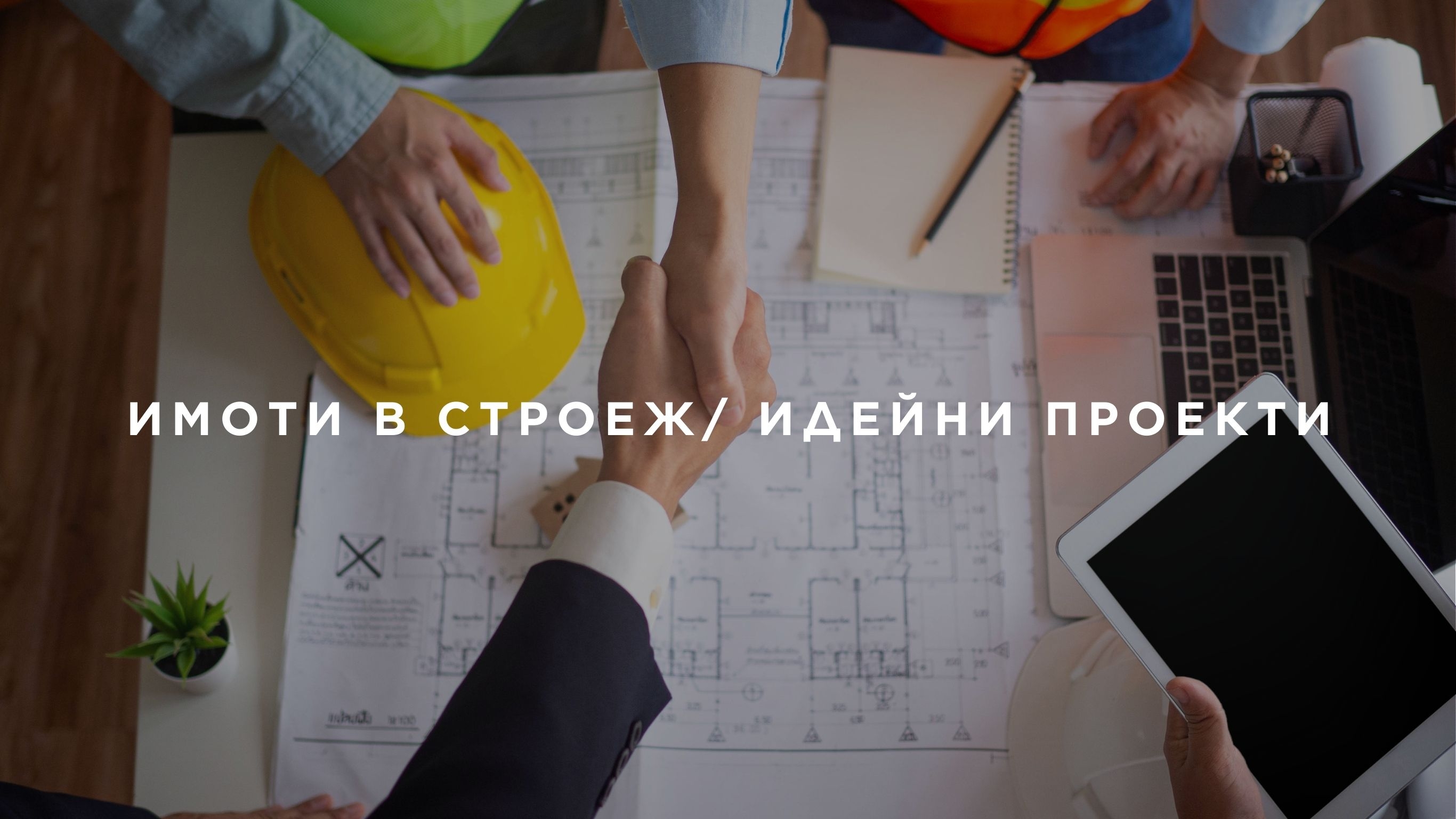 ���� �����������